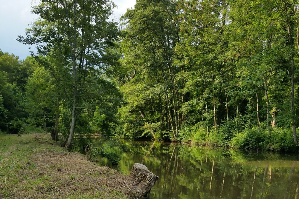 Campsite Eure et Loir France Centre : Pêche en rivière aux abords du camping